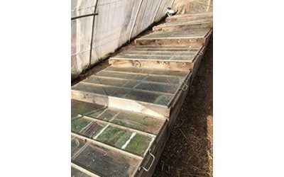 Jardin d&rsquo;accueil au GAEC d&rsquo;Artias – 25 mars de 14h à 17h