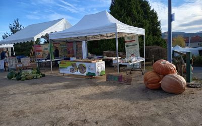 Foire bio de Saint-Germain-Laprade le 11 octobre